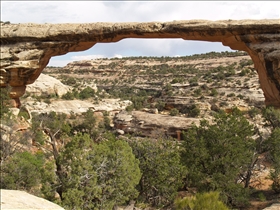 Natural Bridges